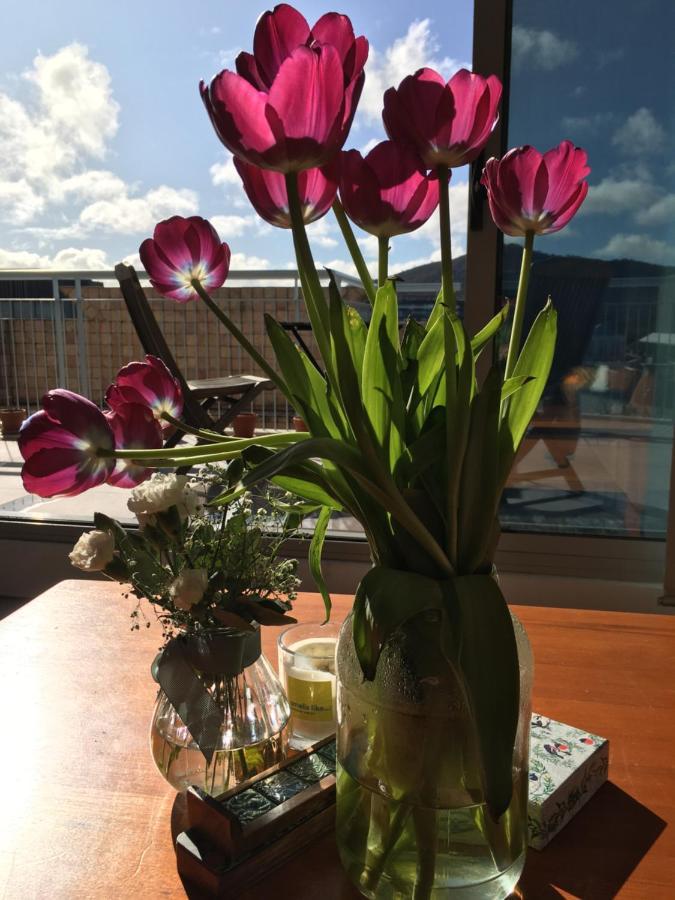 Private Room With Ensuite In The Cbd Canberra Eksteriør bilde